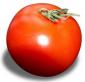 Red Tomato's picture
