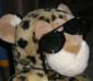 Profile picture for user Mikhael Romario