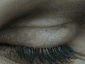 Profile picture for user barumakantempe