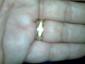 Profile picture for user ANDREAS_PRAMUDHITA