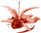 Profile picture for user paulwekwek